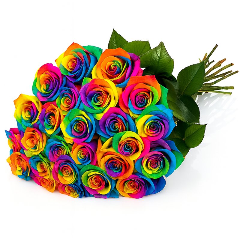 Rainbow Roses